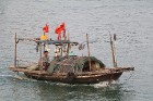 Vjetnamas Halongas līcī ik dienas dodas 650 kruīzu kuģi un zvejnieku laivas. Sadarbībā ar 365 brīvdienas un Turkish Airlines 62