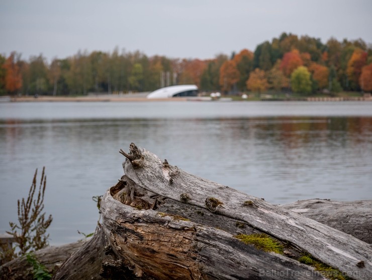 Senatnīgajā Ziemeļvidzemes pilsētā Alūksnē un tās apkārtnē valda zelta rudens. Foto: Linards Luiks