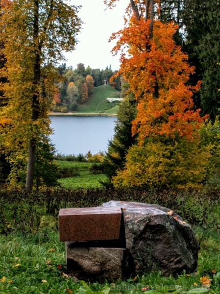 Senatnīgajā Ziemeļvidzemes pilsētā Alūksnē un tās apkārtnē valda zelta rudens. Foto: Vilnis Veļķeris 235839