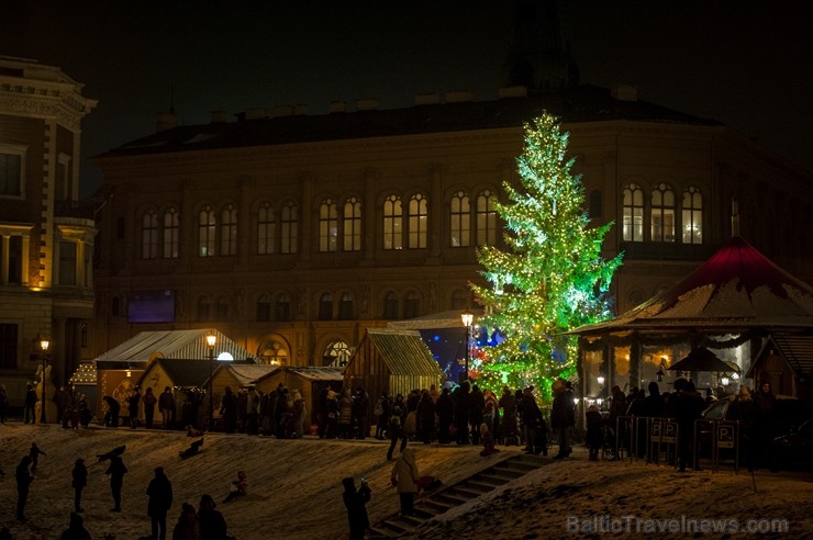 Rīgas iedzīvotāji un viesi apmeklē Doma laukumā svētku egles iedegšanas svinības un Vecrīgas Ziemassvētku tirdziņu. Rīgas iedzīvotāji un viesi apmeklē Doma laukumā svētku egles iedegšanas svinības un Vecrīgas Ziemassvētku tirdziņu. 239754