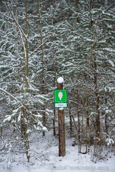 Mangaļsalā, dabas parka Mangaļsalā, dabas parka
