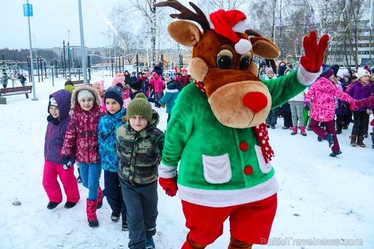 Svētku egle, kura ir gandrīz 12 metrus augsta, priecēs ikvienu, kurš svētku laikā apmeklēs vienu no jaunākajiem sporta un aktīvās atpūtas laukumiem Pu Svētku egle, kura ir gandrīz 12 metrus augsta, priecēs ikvienu, kurš svētku laikā apmeklēs vienu no jaunākajiem sporta un aktīvās atpūtas laukumiem Pu 241913