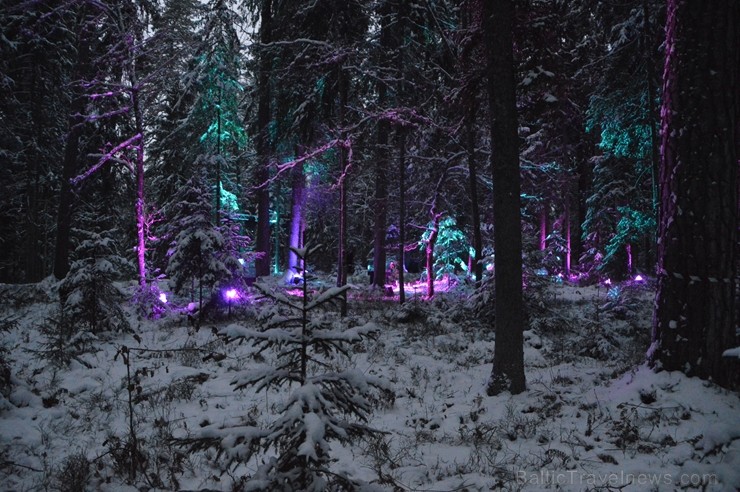 Mazsalacā, Skaņākalna dabas parkā, Ziemassvētku pasakumā Mazsalacā, Skaņākalna dabas parkā, Ziemassvētku pasakumā