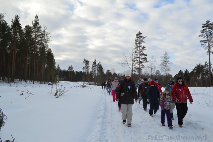 Interesantā pārgājiena laikā pasākuma dalībnieki tika izglītoti par dzīvniekiem ziemā, atstātajiem pēdu nospiedumiem, varēja noskaidrot no kurienes at Interesantā pārgājiena laikā pasākuma dalībnieki tika izglītoti par dzīvniekiem ziemā, atstātajiem pēdu nospiedumiem, varēja noskaidrot no kurienes at 243915