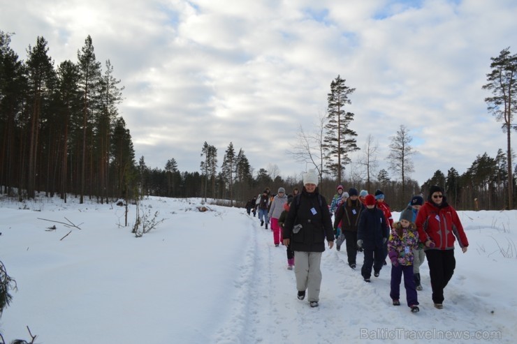 Interesantā pārgājiena laikā pasākuma dalībnieki tika izglītoti par dzīvniekiem ziemā, atstātajiem pēdu nospiedumiem, varēja noskaidrot no kurienes at