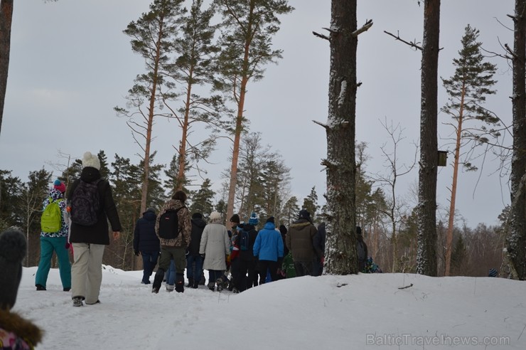 Interesantā pārgājiena laikā pasākuma dalībnieki tika izglītoti par dzīvniekiem ziemā, atstātajiem pēdu nospiedumiem, varēja noskaidrot no kurienes at Interesantā pārgājiena laikā pasākuma dalībnieki tika izglītoti par dzīvniekiem ziemā, atstātajiem pēdu nospiedumiem, varēja noskaidrot no kurienes at 243926