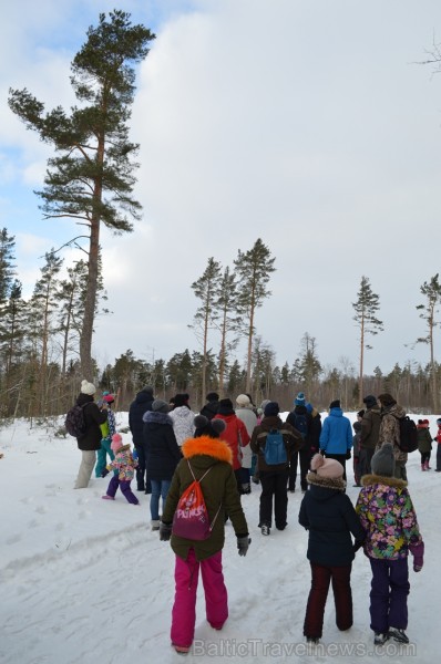Interesantā pārgājiena laikā pasākuma dalībnieki tika izglītoti par dzīvniekiem ziemā, atstātajiem pēdu nospiedumiem, varēja noskaidrot no kurienes at Interesantā pārgājiena laikā pasākuma dalībnieki tika izglītoti par dzīvniekiem ziemā, atstātajiem pēdu nospiedumiem, varēja noskaidrot no kurienes at 243927
