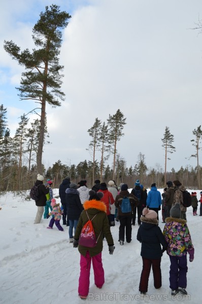 Interesantā pārgājiena laikā pasākuma dalībnieki tika izglītoti par dzīvniekiem ziemā, atstātajiem pēdu nospiedumiem, varēja noskaidrot no kurienes at