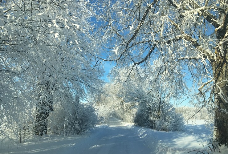 Kā ar maģisku burvju nūjiņas pieskārienu, Sigulda lepni iznes visu gadalaiku tērpus - zeltu, sudrabu, ievziedu mirdzumu un sulīgo vasaras zaļumu