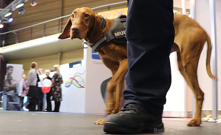 Tūrisma izstāde «Balttour 2019» pulcē ceļotājus, interesentus un atpūtniekus. Vairāk foto: Tn.lv/foto/ 245126