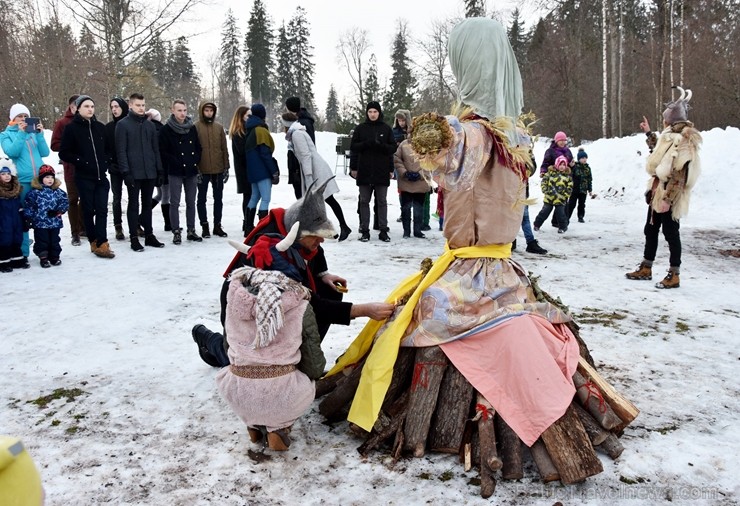 Kopā ar folkloristiem un latvisko tradīciju zinātājiem Alūksnē svinēja Meteņdienu, ejot rotaļās, lieloties, ēdot cūkas šņukuru, vizinoties no kalna un 245973