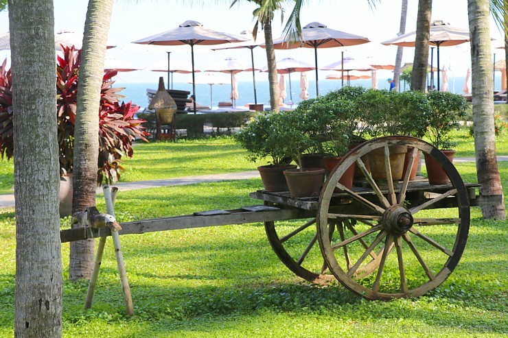Travelnews.lv iepazīst Vjetnamas pludmales viesnīcas «Seahorse Resort & Spa» kopā ar 365 brīvdienas un Turkish Airlines Travelnews.lv iepazīst Vjetnamas pludmales viesnīcas «Seahorse Resort & Spa» kopā ar 365 brīvdienas un Turkish Airlines 246432
