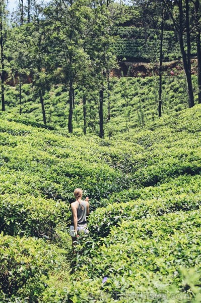 Sibillas ceļojums Šrilankā bija īsts sapnis - viena nedēļa tika pavadīta kalnos, tējas plantācijās un rezervātos, cerībā sastapt ziloni brīvā dabā, be 246750