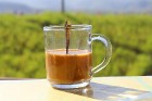 Travelnews.lv apmeklē Vjetnamas kafijas plantāciju un iedzer kafiju.  Atbalsta: 365 brīvdienas un Turkish Airlines 1