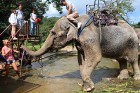 Travelnews.lv iesaka ignorēt zoodārzu Prenn parkā līdz dzīvnieku uzturēšanas apstākļu būtiskai uzlabošanai. Atbalsta: 365 brīvdienas 36