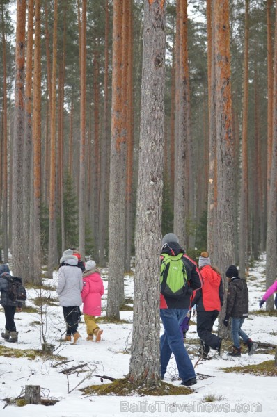 Pārgājiena laikā dalībnieki izglītojās par dzīvnieku atstātajiem pēdu nospiedumiem dabā, nosaidroja no kurienes atceļojušas un kurp aizved to pēdas, a Pārgājiena laikā dalībnieki izglītojās par dzīvnieku atstātajiem pēdu nospiedumiem dabā, nosaidroja no kurienes atceļojušas un kurp aizved to pēdas, a 247836