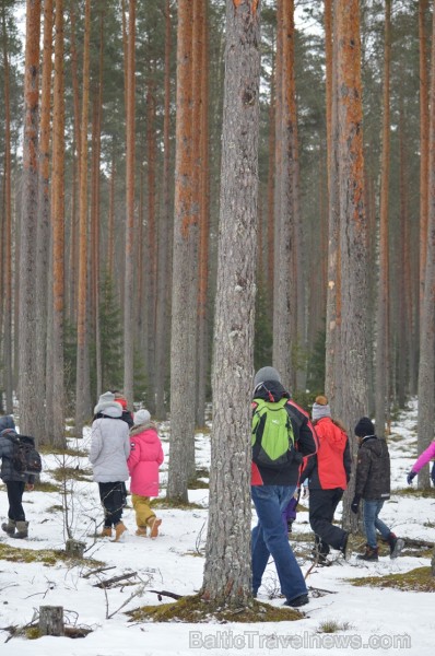 Pārgājiena laikā dalībnieki izglītojās par dzīvnieku atstātajiem pēdu nospiedumiem dabā, nosaidroja no kurienes atceļojušas un kurp aizved to pēdas, a 247836