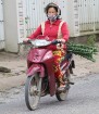 Travelnews.lv iepazīst Vjetnamas pilsētas Dalatas satiksmi. Atbalsta: 365 brīvdienas un Turkish Airlines 46