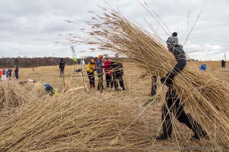 Dabai draudzīgajā Niedru skulptūru festivālā, kas norisinājās 2. martā,bija iespēja radoši izpausties un aizraujoši pavadīt laiku brīvā dabā, no pašu 