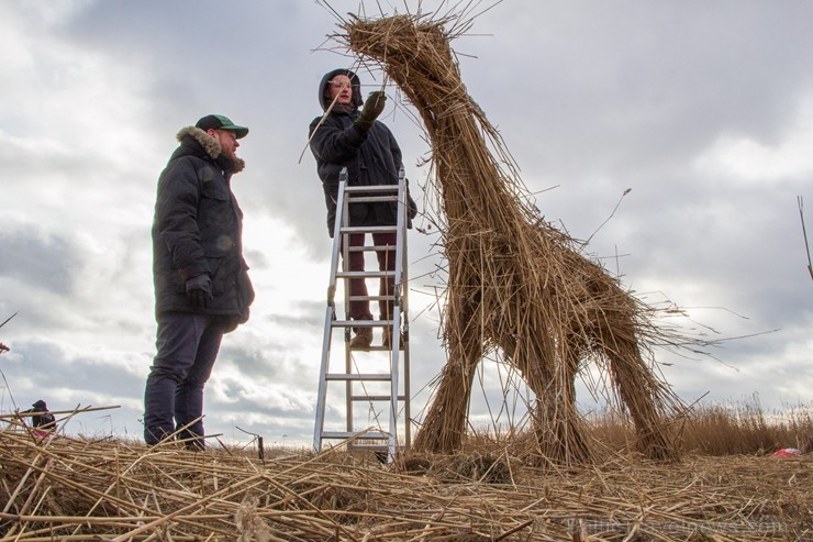 Dabai draudzīgajā Niedru skulptūru festivālā, kas norisinājās 2. martā,bija iespēja radoši izpausties un aizraujoši pavadīt laiku brīvā dabā, no pašu 