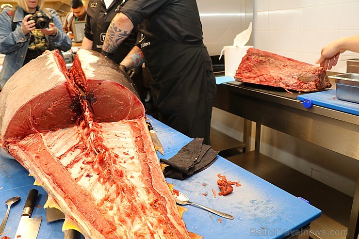 Skatītāju priekšā «Centrālais Gastro Tirgus» tiek sadalīts 208kg smags un 6.000 eiro vērts tuncis 250624