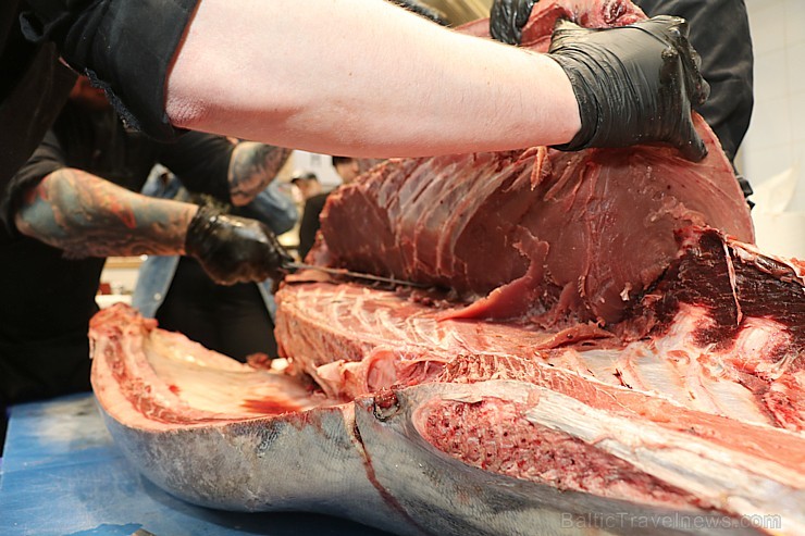 Skatītāju priekšā «Centrālais Gastro Tirgus» tiek sadalīts 208kg smags un 6.000 eiro vērts tuncis 250636