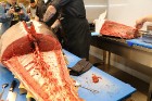 Skatītāju priekšā «Centrālais Gastro Tirgus» tiek sadalīts 208kg smags un 6.000 eiro vērts tuncis 4