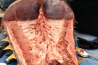 Skatītāju priekšā «Centrālais Gastro Tirgus» tiek sadalīts 208kg smags un 6.000 eiro vērts tuncis 12