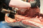 Skatītāju priekšā «Centrālais Gastro Tirgus» tiek sadalīts 208kg smags un 6.000 eiro vērts tuncis 16