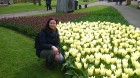 Ceļotāji no Latvijas un visas pasaules pavasarī dodas priecēt acis uz Nīderlandi, kur krāšņi plaukst tulpju ziedi 13