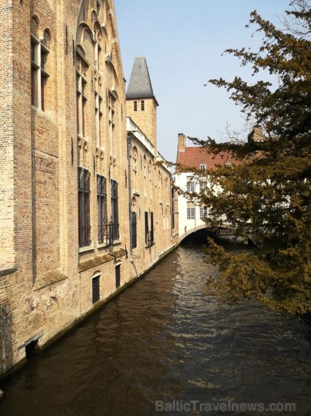 Latviešu ceļotāji, dodoties uz Nīderlandes plašajiem tulpju laukiem, izbauda arī Beļģijas vēsturisko pilsētu Brigi 252436