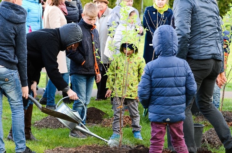 Ar svinīgiem koncertiem, militāro parādi, kopīgu pulcēšanos pie balti klātiem galdiem sestdien Latvijā un citviet pasaulē plaši tika svinēta Latvijas  253481