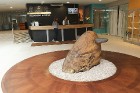 Pārdaugavas viesnīca «Riga Islande Hotel» piedāvā numurus viesiem, kuriem ir alerģija 2
