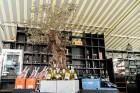 Vīna Studija iepriecina visus vīna mīļotājus, atverot sezonālu 600 kvadrātmetru plašu pop-up koncepta Vīna Terasi pašā Vecrīgas sirdī 12