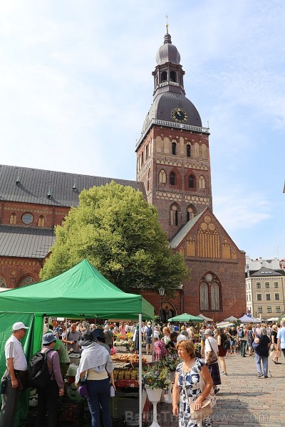 Rīgas Doma laukumā rīdzinieki un pilsētas viesi izbauda  «Zāļu tirgus» burvestību