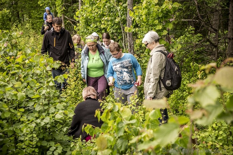 Jau 10. gadu ar pārgājieniem Dundagas novada dabā un unikālajā kultūrvidē vasaras sākumā rīkoja Slīteres Ceļotāju dienas, savukārt Mājas kafejnīcu die Jau 10. gadu ar pārgājieniem Dundagas novada dabā un unikālajā kultūrvidē vasaras sākumā rīkoja Slīteres Ceļotāju dienas, savukārt Mājas kafejnīcu die 258532