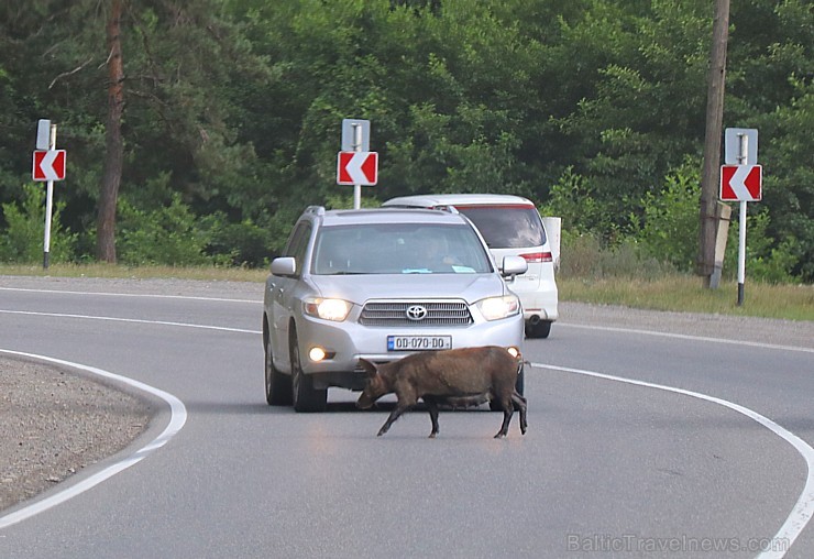 Travelnews.lv izbrauc Gruzijas autostrādes, kalnu asfalta ceļus un vēro dažādos žogu vārtus