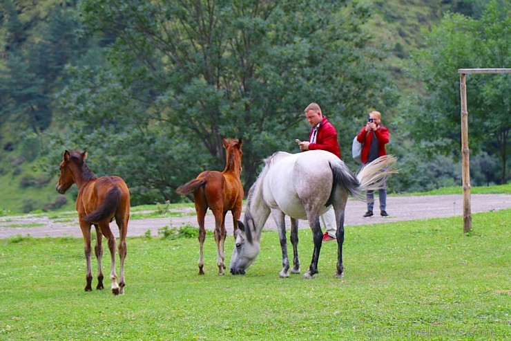 Travelnews.lv divas dienas pavada Kaukāza kalnu ciematā Šatili. Atbalsta: Georgia.Travel 263014