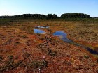 Ziemeļvidzemes biosfēras rezervāts ir vienīgā šāda veida īpaši aizsargājamā dabas teritorija Latvijā, kas aptver 457 600 hektārus sauszemes un 16 750  2