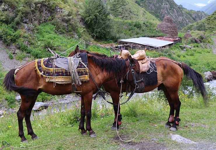 Travelnews.lv apmeklē Mutso ciemu Kaukāza kalnos un iepazīst viduslaiku cietoksni.  Atbalsta: Georgia.Travel 264102
