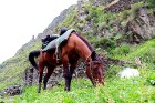 Travelnews.lv apmeklē Mutso ciemu Kaukāza kalnos un iepazīst viduslaiku cietoksni.  Atbalsta: Georgia.Travel 72