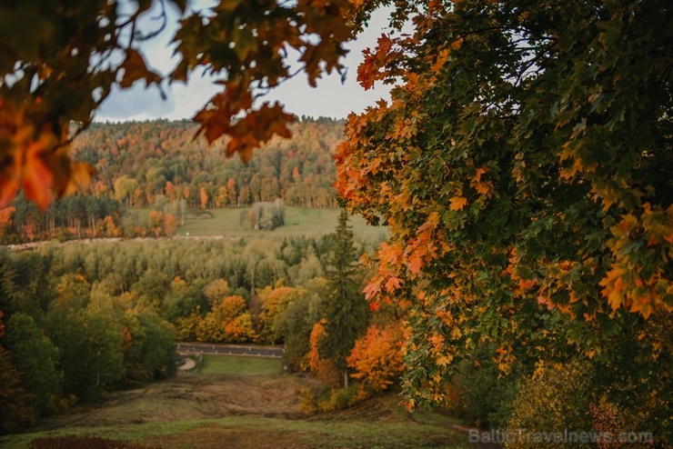 Sigulda var dižoties daudzveidīgām rudens ainavām pilsētā un tās apkārtnē 267581