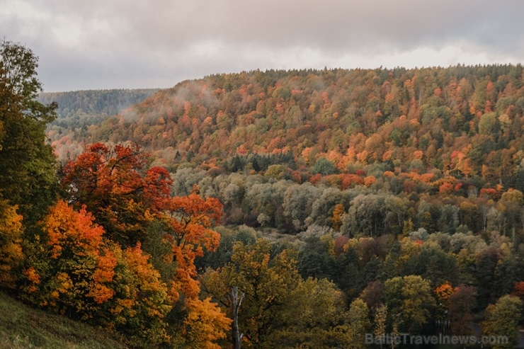Sigulda var dižoties daudzveidīgām rudens ainavām pilsētā un tās apkārtnē 267582