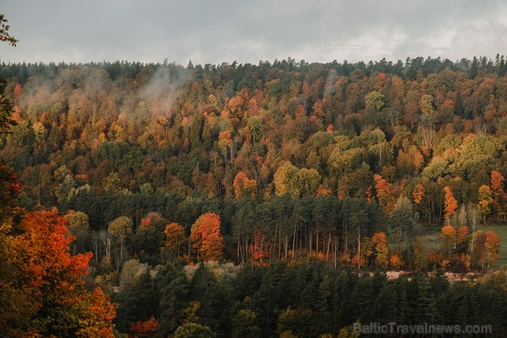 Sigulda var dižoties daudzveidīgām rudens ainavām pilsētā un tās apkārtnē 267590