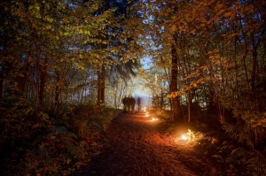Vienkoču parkā norisinājās Uguns Nakts, kura mērķis ir vienu īso rudens dienu padarīt ilgāk gaišu, dot iespēju uzlādēt sevi ar sveču gaismu un siltumu 22