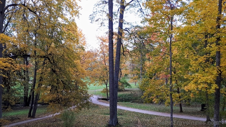 Preiļu pilsētu un parku ieskauj rudens zelts 267751