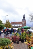 Simjūda tirgus Valmierā pulcē tirgotājus ar viduslaiku Livonijas labumiem 7