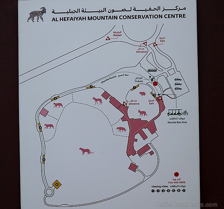 Travelnews.lv apmeklē dabas aizsardzības centru «Al Hefaiyah Mountain Conservation Centre». Atbalsta: VisitSharjah.com un Novatours.lv 269724