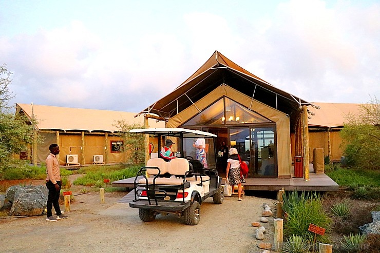 Travelnews.lv ar nakšņojumu iepazīst burvīgu vietu uz salas «Kingfisher Lodge». Atbalsta: VisitSharjah.com un Novatours.lv 269897