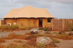Travelnews.lv nakšņo luksus klases teltī, ko piedāvā «Kingfisher Lodge». Atbalsta: VisitSharjah.com un Novatours.lv 1